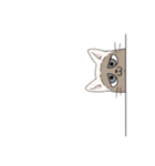 アニマル日和 犬猫版（個別スタンプ：38）