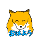 キツネ達の毎日使えるスタンプ（個別スタンプ：1）