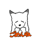 キツネ達の毎日使えるスタンプ（個別スタンプ：12）