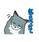キツネ達の毎日使えるスタンプ（個別スタンプ：26）