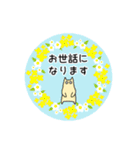 春の花と猫♡やさしい日常挨拶（個別スタンプ：8）