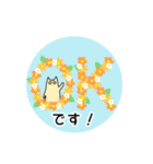 春の花と猫♡やさしい日常挨拶（個別スタンプ：16）