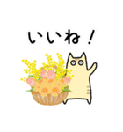 春の花と猫♡やさしい日常挨拶（個別スタンプ：24）