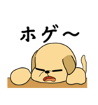 ラブラドールの幸せな夢（個別スタンプ：6）