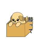 ラブラドールの幸せな夢（個別スタンプ：12）