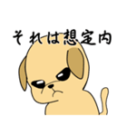 ラブラドールの幸せな夢（個別スタンプ：13）