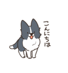 ボーダーコリー あいさつ（個別スタンプ：3）