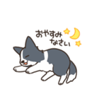 ボーダーコリー あいさつ（個別スタンプ：4）