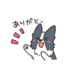 ボーダーコリー あいさつ（個別スタンプ：11）