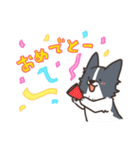 ボーダーコリー あいさつ（個別スタンプ：13）