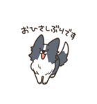 ボーダーコリー あいさつ（個別スタンプ：15）