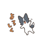 ボーダーコリー あいさつ（個別スタンプ：19）