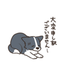 ボーダーコリー あいさつ（個別スタンプ：23）