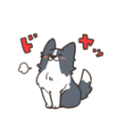 ボーダーコリー あいさつ（個別スタンプ：30）