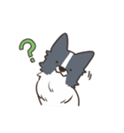ボーダーコリー あいさつ（個別スタンプ：35）