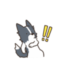 ボーダーコリー あいさつ（個別スタンプ：36）
