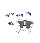ボーダーコリー あいさつ（個別スタンプ：38）