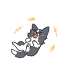 ボーダーコリー あいさつ（個別スタンプ：39）