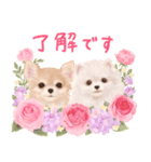 大人かわいい♡いぬと花のスタンプ（個別スタンプ：2）