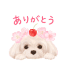 大人かわいい♡いぬと花のスタンプ（個別スタンプ：4）