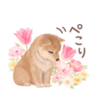 大人かわいい♡いぬと花のスタンプ（個別スタンプ：8）