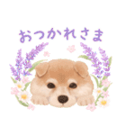 大人かわいい♡いぬと花のスタンプ（個別スタンプ：9）