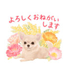大人かわいい♡いぬと花のスタンプ（個別スタンプ：11）