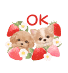 大人かわいい♡いぬと花のスタンプ（個別スタンプ：13）