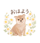大人かわいい♡いぬと花のスタンプ（個別スタンプ：18）