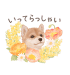 大人かわいい♡いぬと花のスタンプ（個別スタンプ：23）