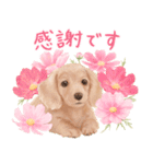 大人かわいい♡いぬと花のスタンプ（個別スタンプ：25）