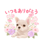大人かわいい♡いぬと花のスタンプ（個別スタンプ：26）