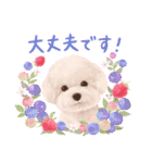大人かわいい♡いぬと花のスタンプ（個別スタンプ：30）