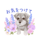 大人かわいい♡いぬと花のスタンプ（個別スタンプ：35）