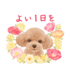 大人かわいい♡いぬと花のスタンプ（個別スタンプ：37）