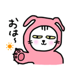 ピンクうさぎの着ぐるみネコ（個別スタンプ：1）