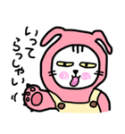 ピンクうさぎの着ぐるみネコ（個別スタンプ：3）
