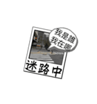 ェキ風の厭世的な簡単な回答（個別スタンプ：5）