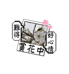 ェキ風の厭世的な簡単な回答（個別スタンプ：9）