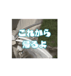 ダム動画スタンプ（個別スタンプ：15）