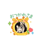 ᐡ- ·̫ •ᐡฅ♡♥（個別スタンプ：1）
