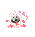 ᐡ- ·̫ •ᐡฅ♡♥（個別スタンプ：3）