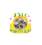 ᐡ- ·̫ •ᐡฅ♡♥（個別スタンプ：6）