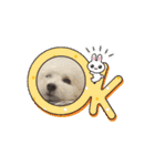 ᐡ- ·̫ •ᐡฅ♡♥（個別スタンプ：8）