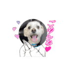 ᐡ- ·̫ •ᐡฅ♡♥（個別スタンプ：9）
