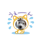 ᐡ- ·̫ •ᐡฅ♡♥（個別スタンプ：10）