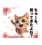 お花見専用 実用的キジ白猫ちゃん（個別スタンプ：11）