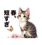 お花見専用 実用的キジ白猫ちゃん（個別スタンプ：13）