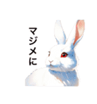 ウサちゃんのポジティブなあいさつ（個別スタンプ：36）
