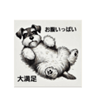 元気なシュナウザー（個別スタンプ：4）